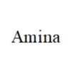 Times New Roman